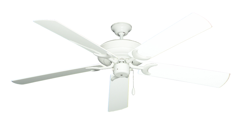Raindance Pure White with 60" Outdoor Pure White Blades
