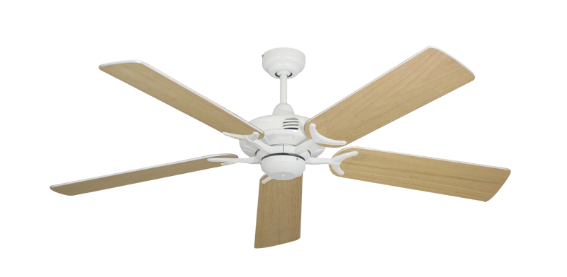 Coastal Air Pure White with 52" Unfinished Oak Blades