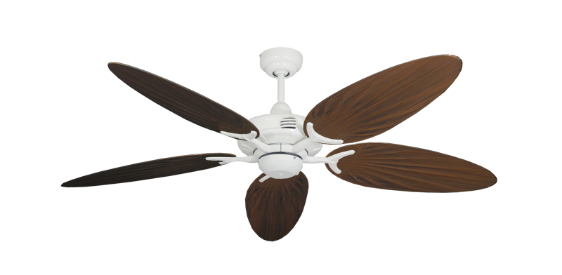 Coastal Air Pure White with 52" Outdoor Palm Oil Rubbed Bronze Blades