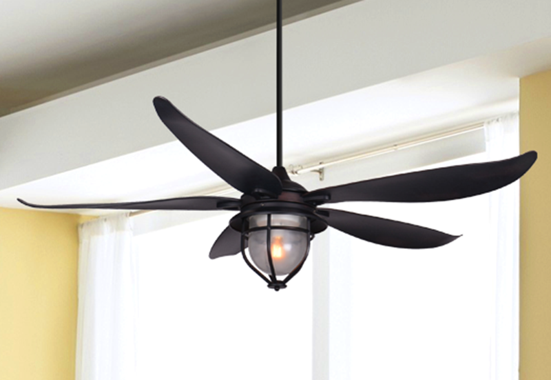 St Augustine 59 In Indoor Outdoor Oil, Shallow Ceiling Fan
